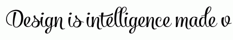 Salamander Script
