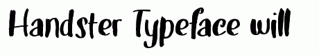Handster Typeface