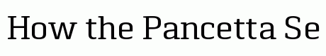 Pancetta Serif Pro Regular