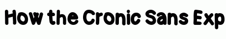 Cronic Sans Expanded Bold