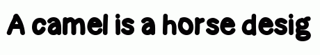 Cronic Sans Expanded Bold