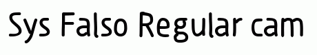 Sys Falso Regular