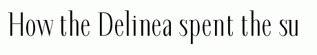 Delinea
