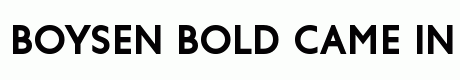 Boysen Bold