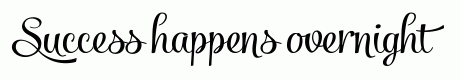 Salamander Script