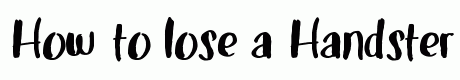 Handster Typeface