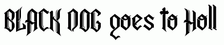 BLACK DOG