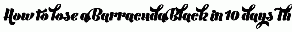 Barracuda Black