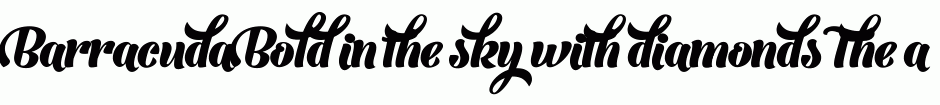 Barracuda Bold