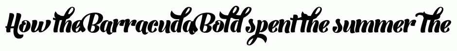 Barracuda Bold