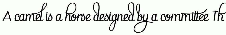 Pepita Script 4