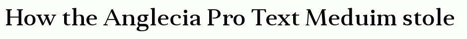 Anglecia Pro Text Meduim
