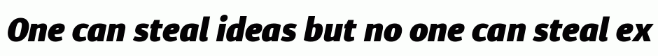 Diaria Sans Pro Black Italic