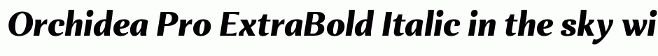 Orchidea Pro ExtraBold Italic