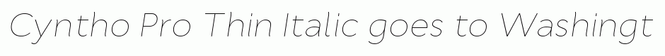 Cyntho Pro Thin Italic