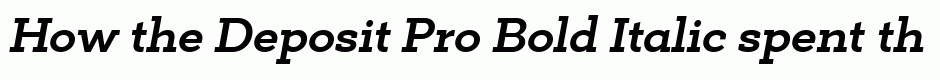 Deposit Pro Bold Italic