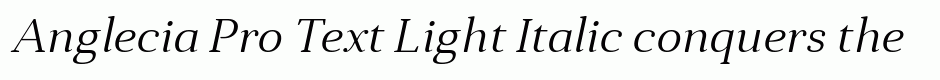 Anglecia Pro Text Light Italic