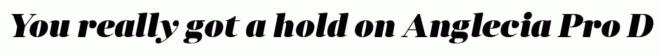 Anglecia Pro Display Black Italic