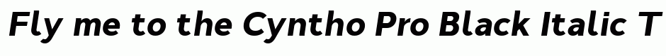 Cyntho Pro Black Italic