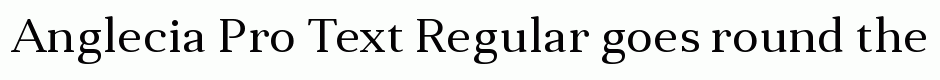 Anglecia Pro Text Regular