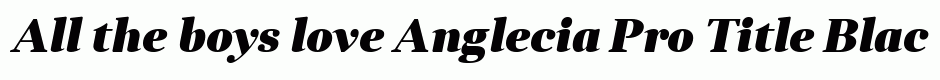 Anglecia Pro Title Black Italic