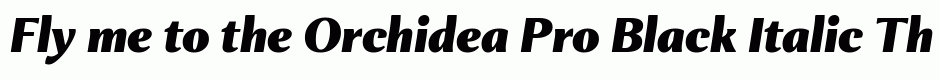 Orchidea Pro Black Italic