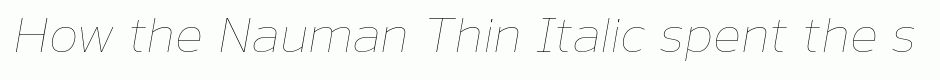 Nauman Thin Italic