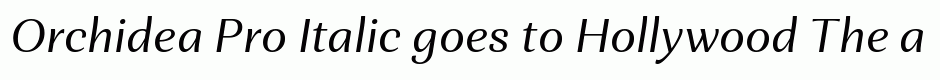 Orchidea Pro Italic
