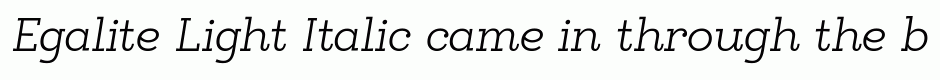 Egalite Light Italic