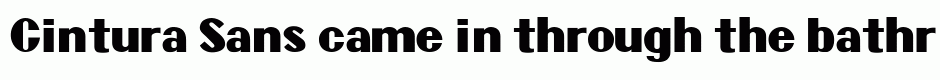 Cintura Sans