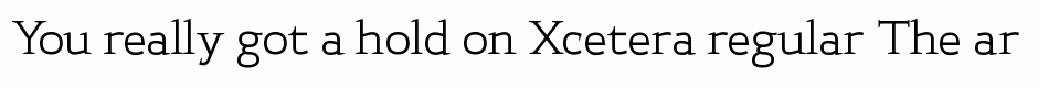 Xcetera regular