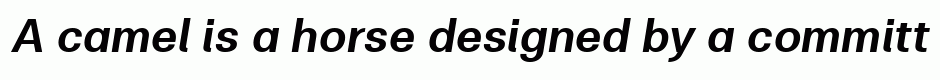 Clinica Pro SemiBold Italic