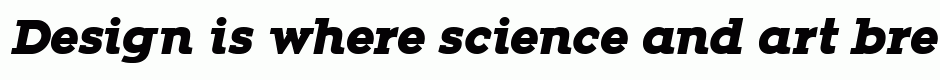 Zona Black Slab Italic