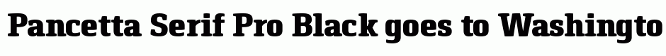 Pancetta Serif Pro Black