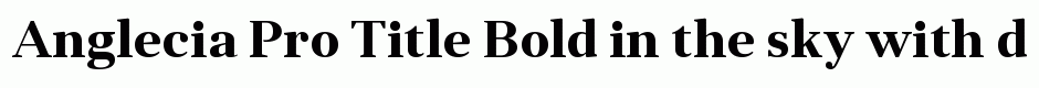 Anglecia Pro Title Bold