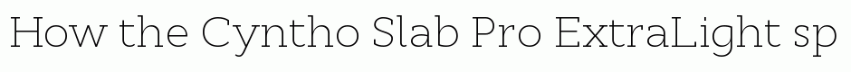 Cyntho Slab Pro ExtraLight