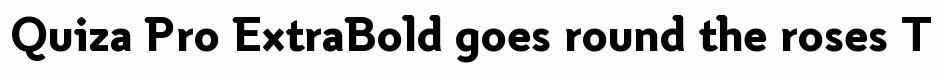 Quiza Pro ExtraBold