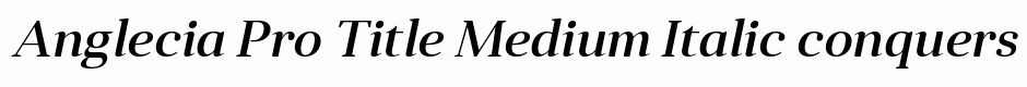 Anglecia Pro Title Medium Italic