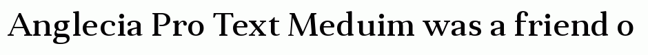 Anglecia Pro Text Meduim