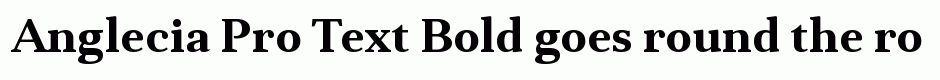 Anglecia Pro Text Bold