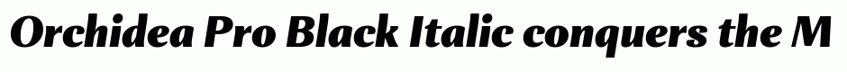Orchidea Pro Black Italic