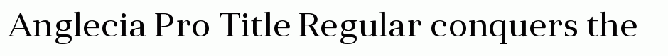 Anglecia Pro Title Regular