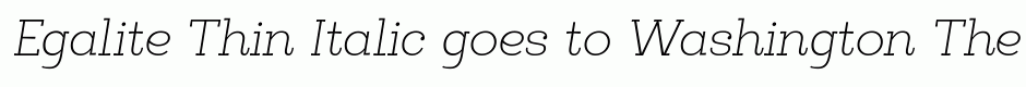 Egalite Thin Italic