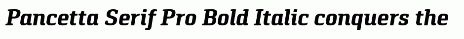 Pancetta Serif Pro Bold Italic