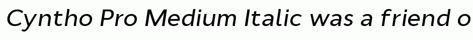 Cyntho Pro Medium Italic