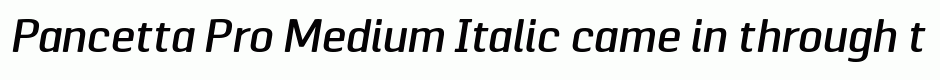 Pancetta Pro Medium Italic