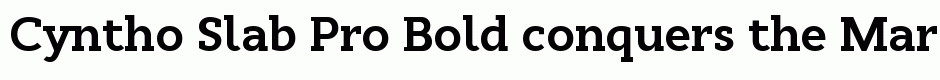 Cyntho Slab Pro Bold