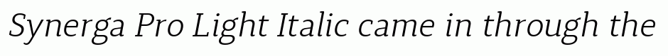 Synerga Pro Light Italic