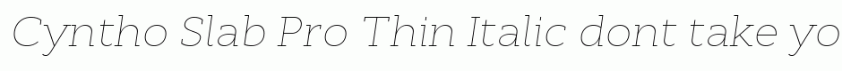Cyntho Slab Pro Thin Italic