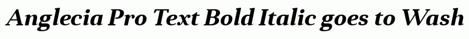 Anglecia Pro Text Bold Italic